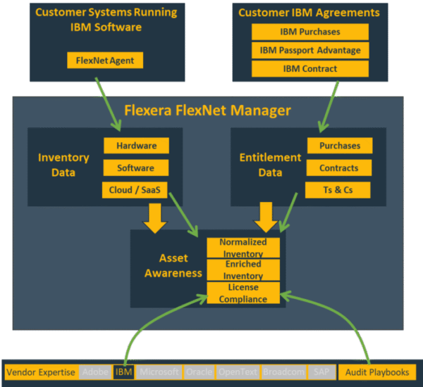 Specific IBM perspective on the concept of Software Asset Management.